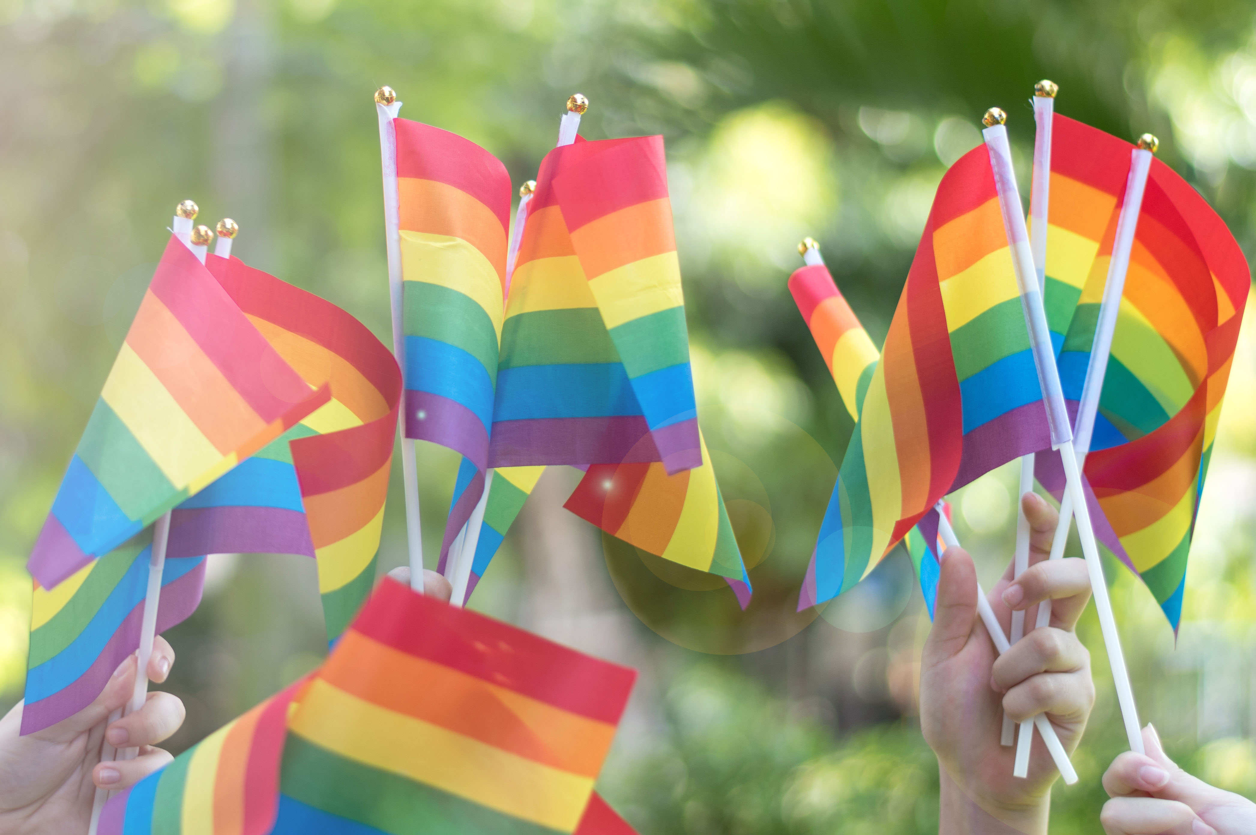 Introduccion a las intervenciones clinicas en familias con integrantes LGBT+